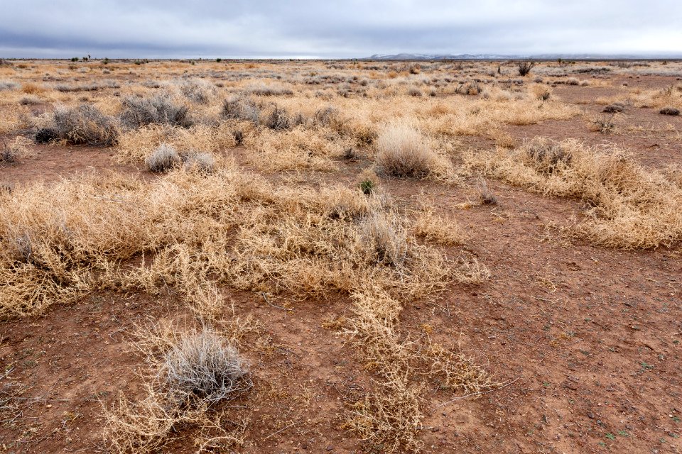 Northwest of Northern Lordsburg Playa