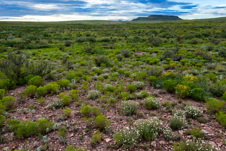 South of Table Mountain