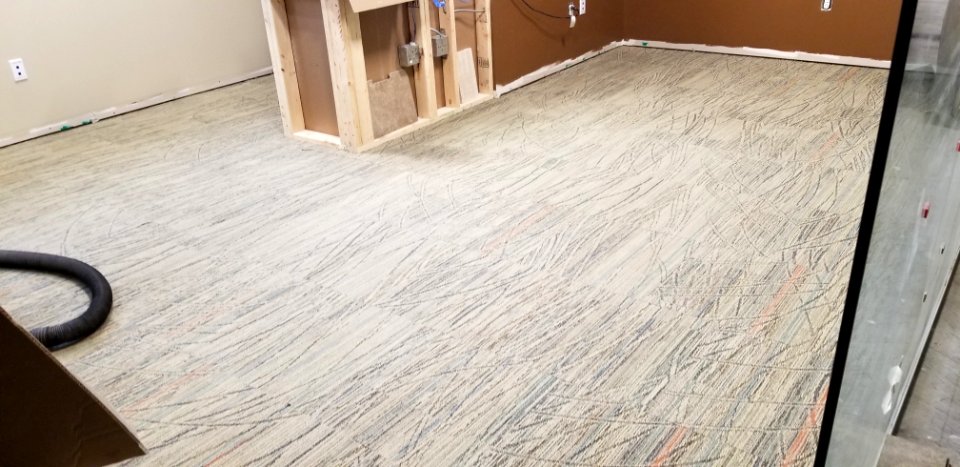 Canaan Valley National Wildlife Refuge Friends bookstore with new carpet 2