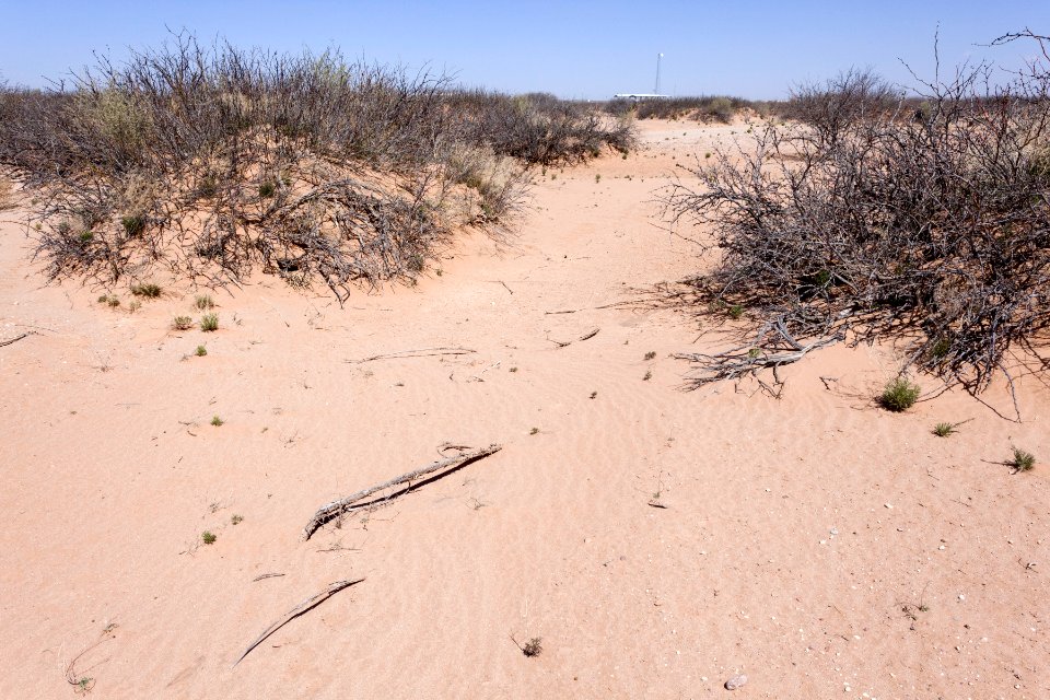 Northeast of Daley Lake