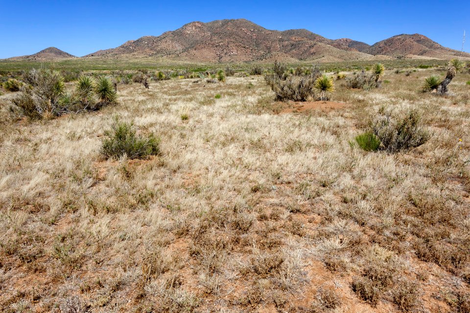 Southwest of Apache Mountain