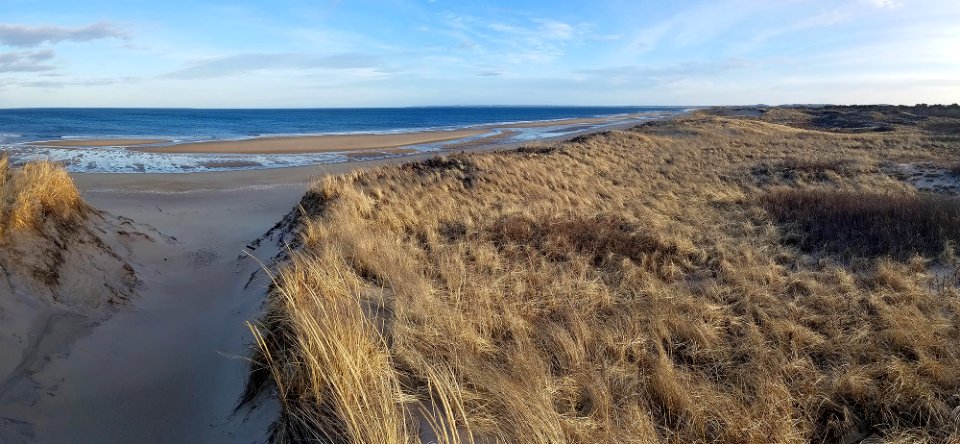 Shoreline at Parker River National Wildlife Refuge