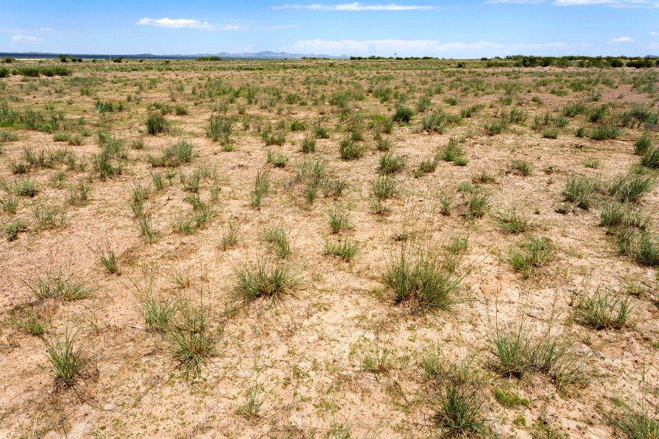 Playas Valley