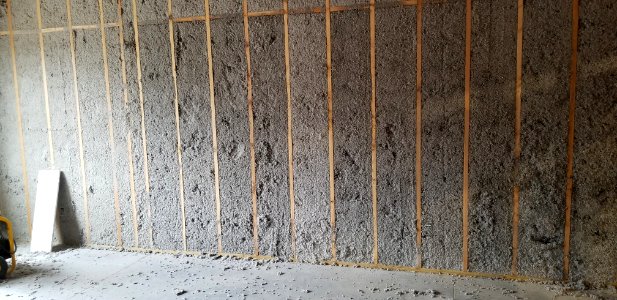Canaan Valley National Wildlife Refuge - Damp cellulose insulation in conference room photo