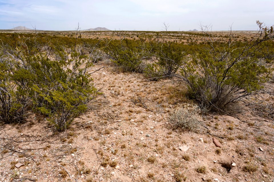 South of the Big Burro Mountains