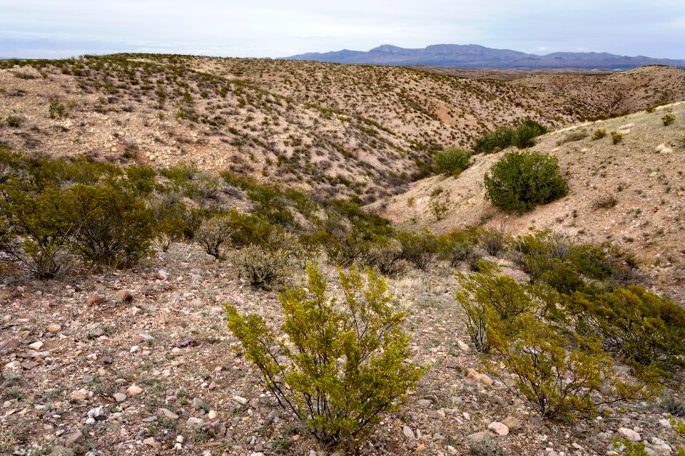 Near Tierra Blanca Creek