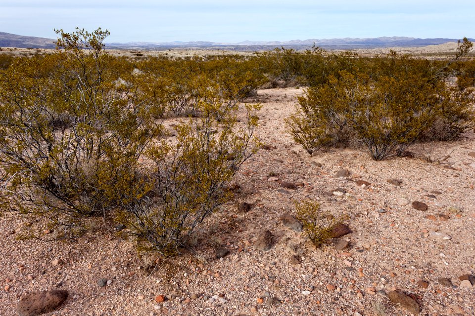 Southwest of Redrock