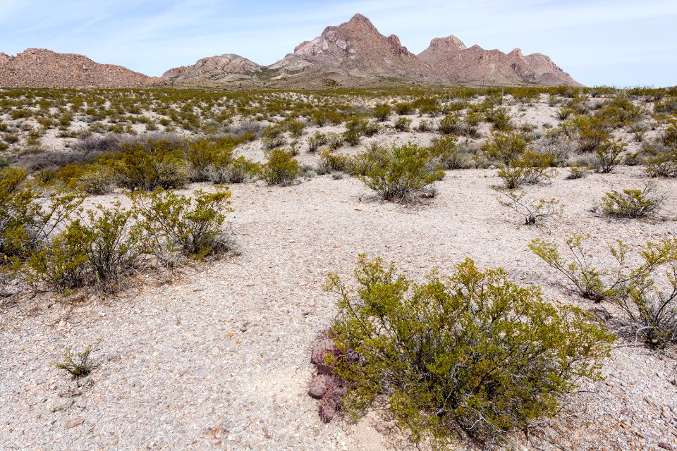 Southeast of the Doña Ana Mountains