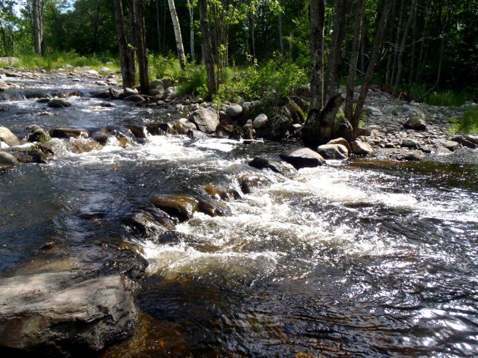 Nature-Like fishway for herring 1