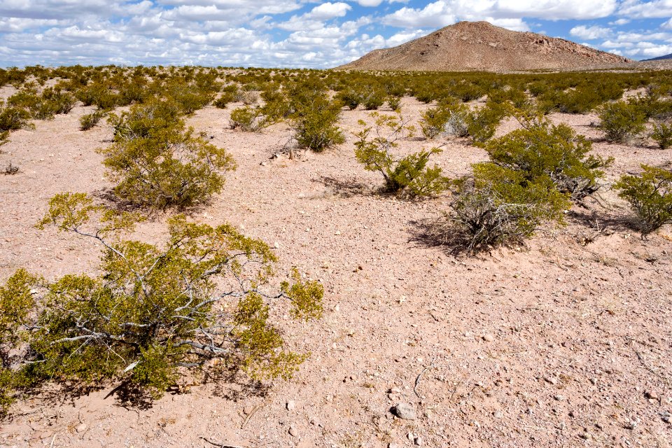 Near Goat Ridge