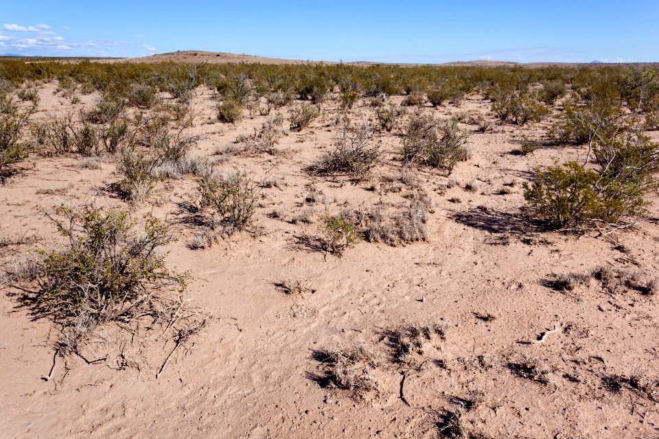 Near Fort Cummings