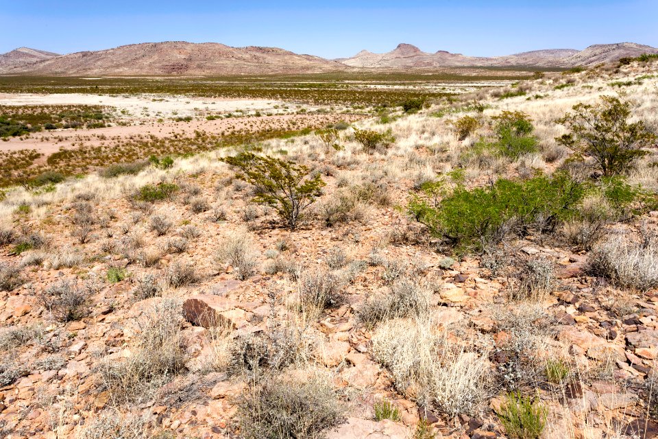 Near the Pony Hills