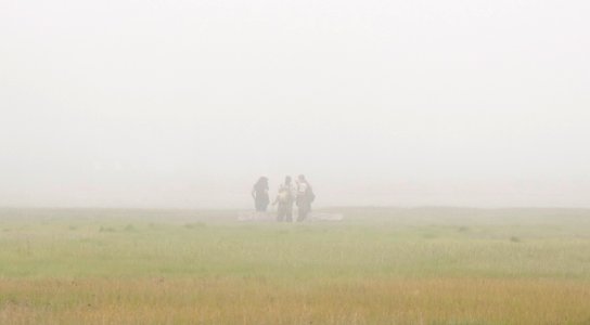 Nekton Sampling - Misty Morning on the Marsh