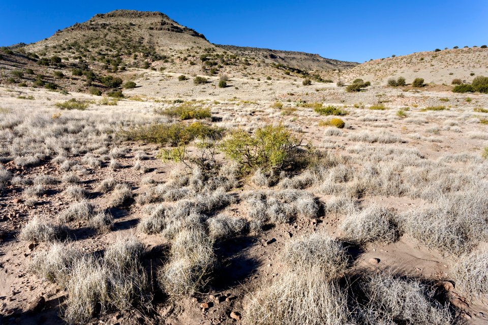Sierra de las Uvas