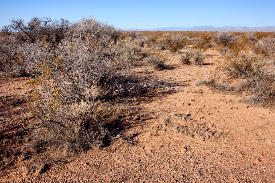 Mesa south of Cuchillo Negro Creek