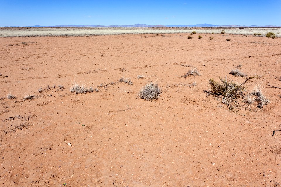 East of the Mimbres River