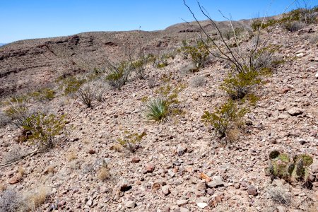 Redhouse Mountain