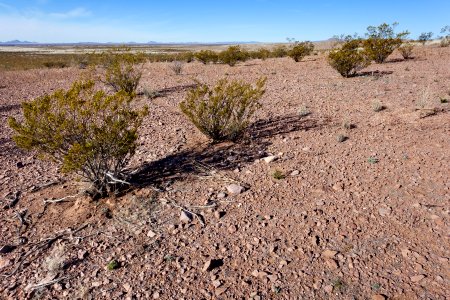 Southeast of Taylor Mountain