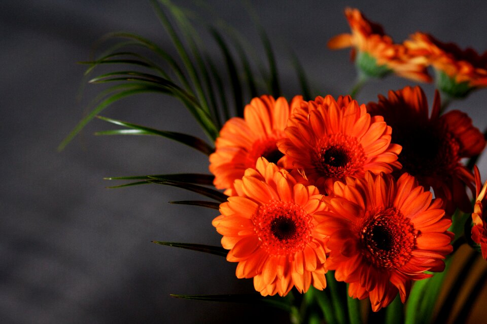 Bloom nature bouquet