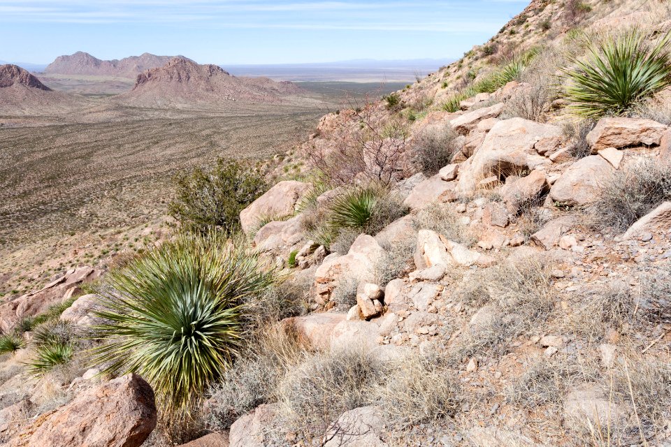 Southeastern Doña Ana Mountains