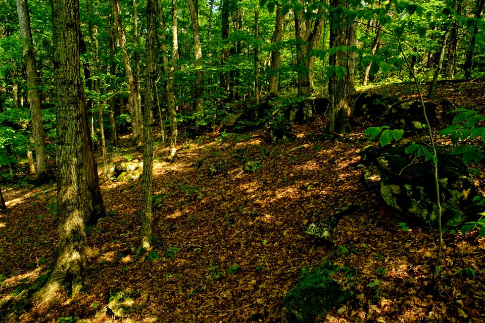 Twin Creek Nature Preserve