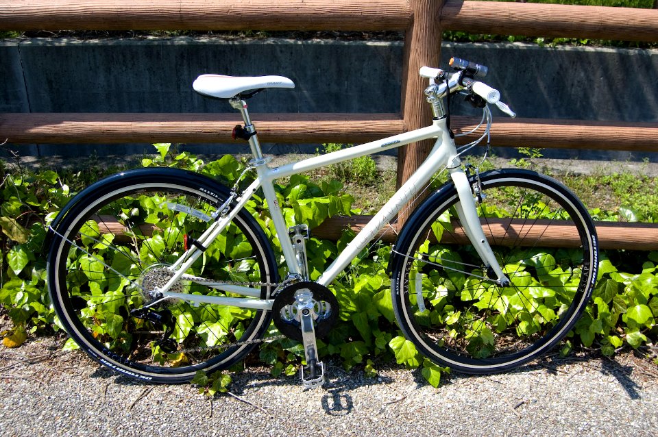 GIANT Escape R3.1 2010