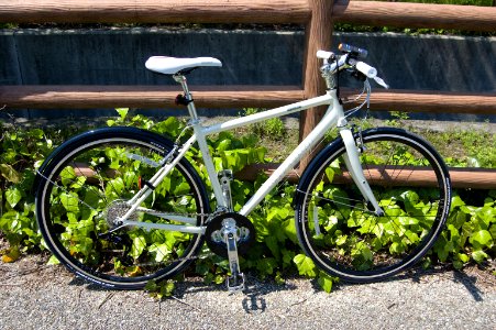 GIANT Escape R3.1 2010