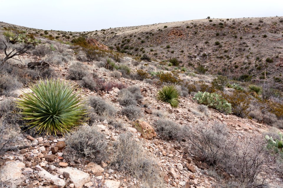 Southern Sierra de las Uvas