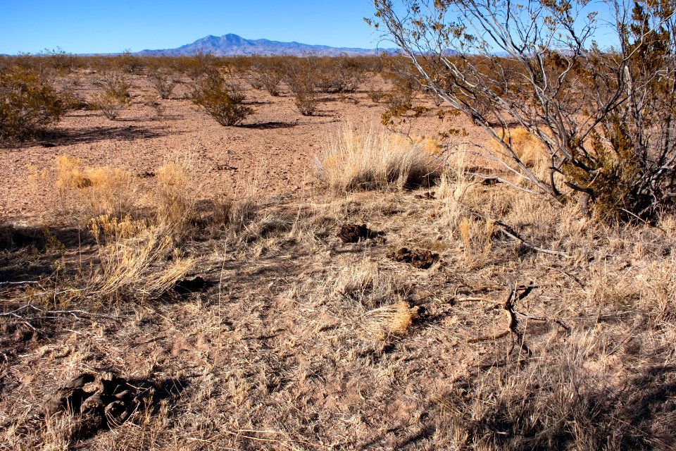 About two miles north-northeast of Cuchillo