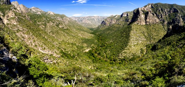 McKittrick Canyon