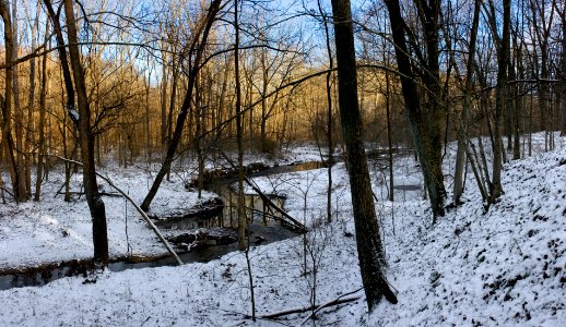 Near Griffy Lake photo