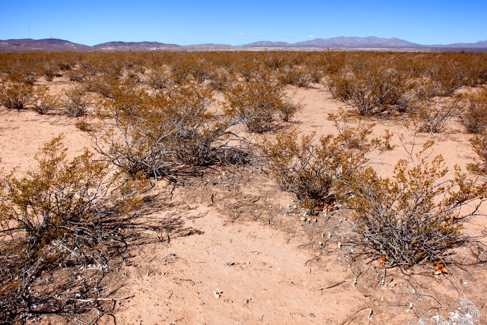 Along Upham Road near Rincon Arroyo