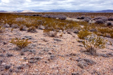 Between Trujillo Canyon and Wicks Gulch