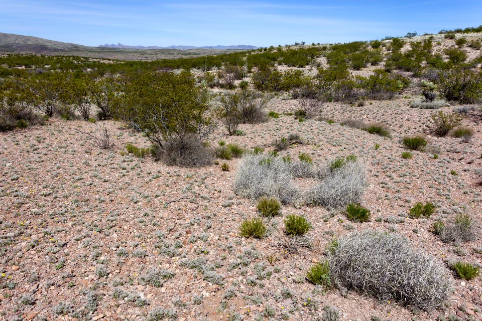 Northeast of Caprock Mountain