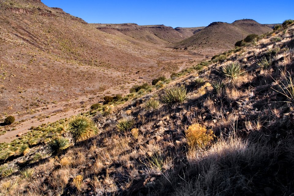 Western Sierra de las Uvas