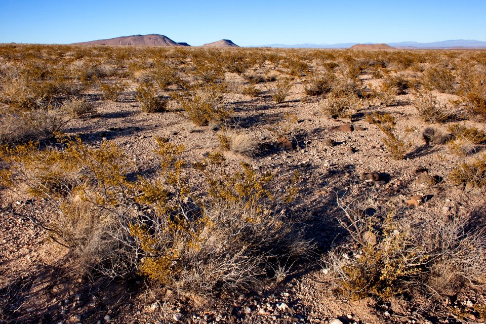 East side of the Sierra de las Uvas