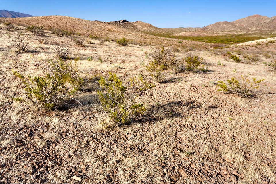 Near Fluorite Ridge