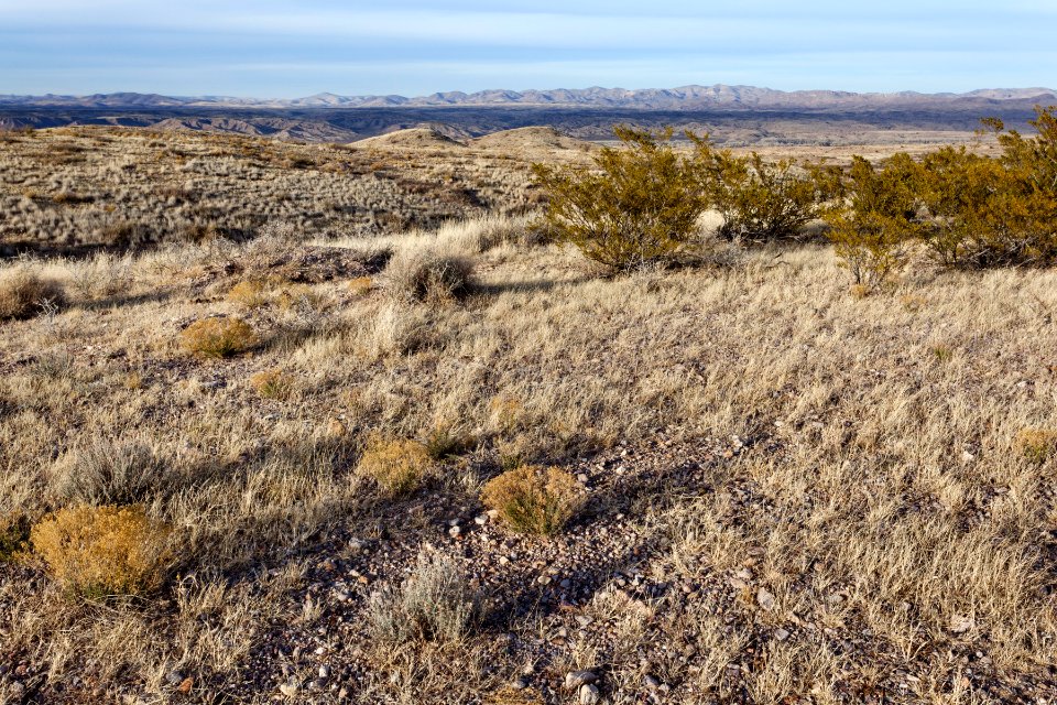 Southwest of Redrock