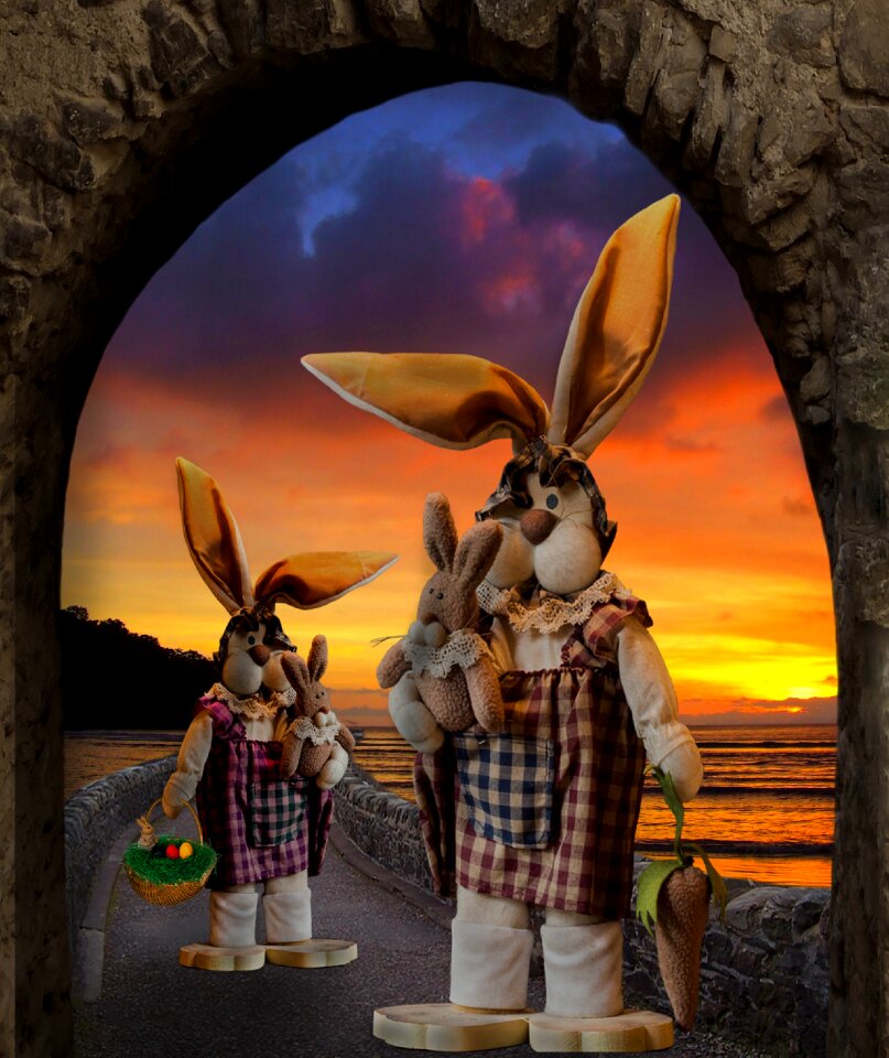 Easter easter bunny greeting card
