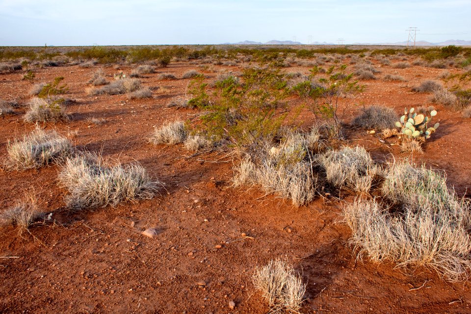 East of the Black Range