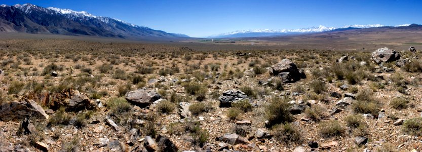 Hammil Valley