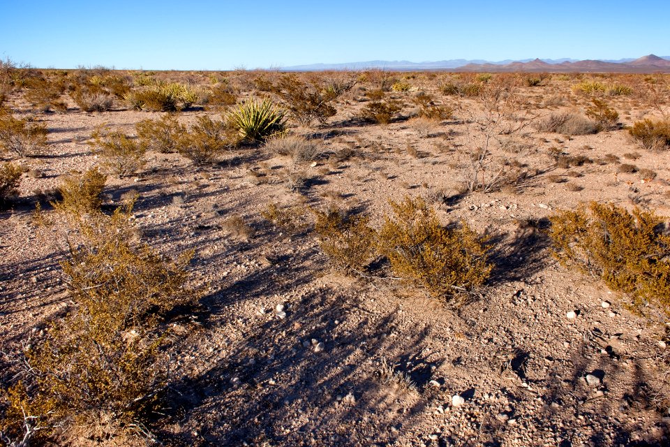 Edge of the Jornada del Muerto Plain about 6 miles northeast of Hatch