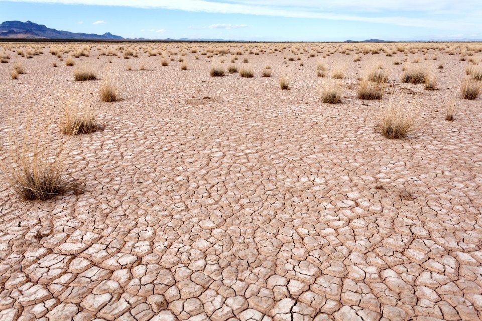 Lordsburg Playa