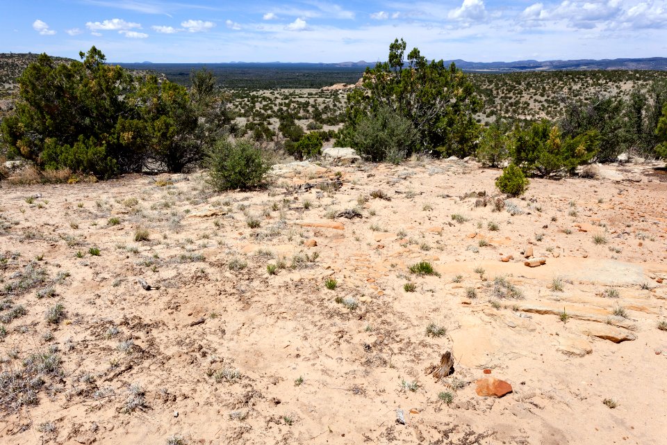 East of Grants Malpais