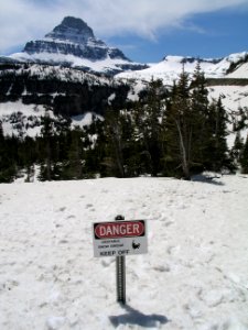 Spring at Logan Pass photo