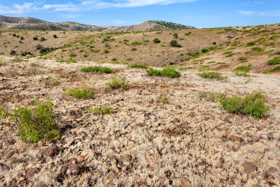Near Sycamore Canyon