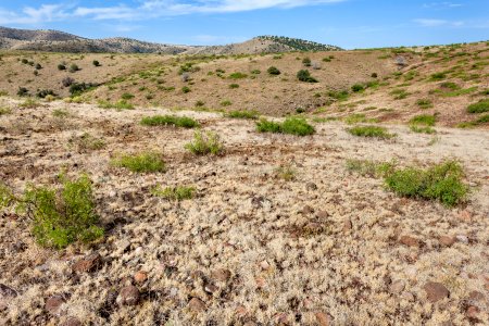 Near Sycamore Canyon