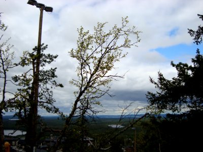 DSC04974