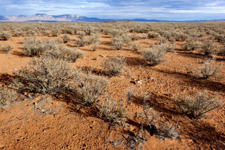 Near Greyback Arroyo