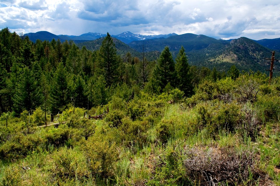 Crosier Mountain Trail